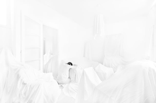 Intérieur brut, série de Fabrice Poiteaux