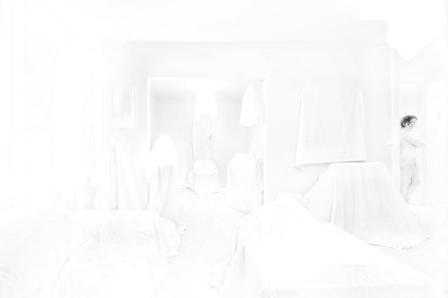 Intérieur brut, série de Fabrice Poiteaux