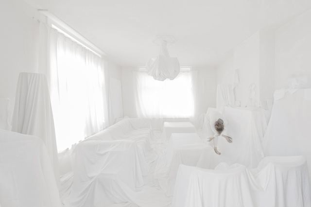 Intérieur brut, série de Fabrice Poiteaux