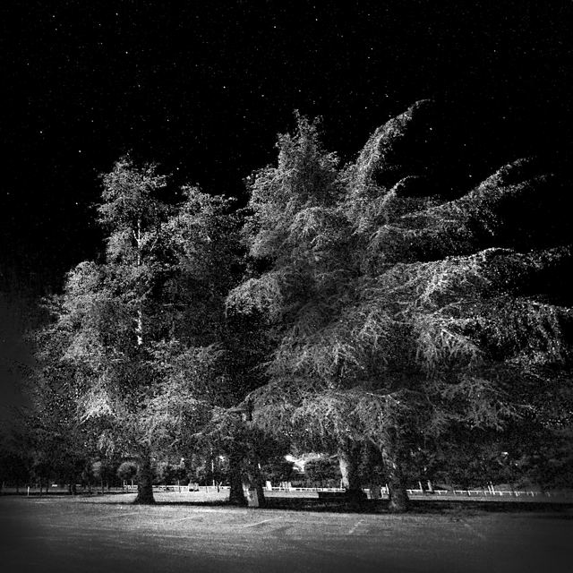 La nuit, je marche, série de Fabrice Poiteaux