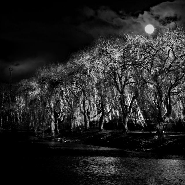 La nuit, je marche, série de Fabrice Poiteaux
