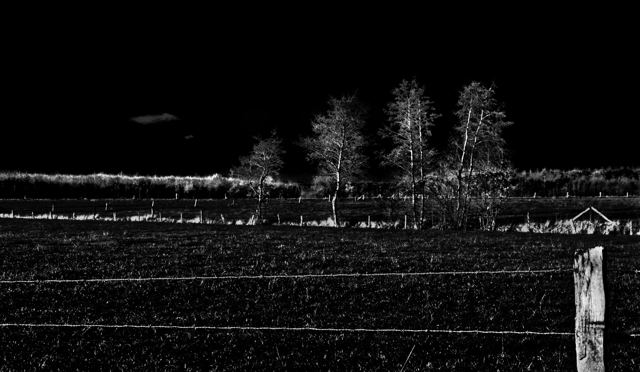 La nuit, je marche, série de Fabrice Poiteaux