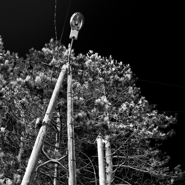 La nuit, je marche, série de Fabrice Poiteaux