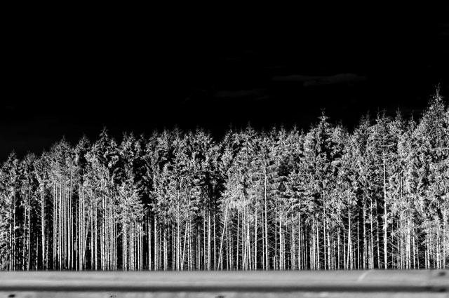 La nuit, je marche, série de Fabrice Poiteaux