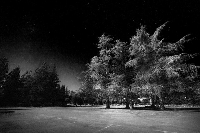 La nuit, je marche, série de Fabrice Poiteaux